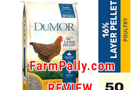 Is DuMOR a Good chicken feed
