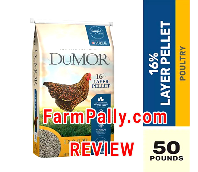 Is DuMOR a Good chicken feed 