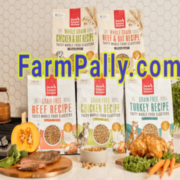 Is Honest Kitchen Dehydrated Food good for Dogs