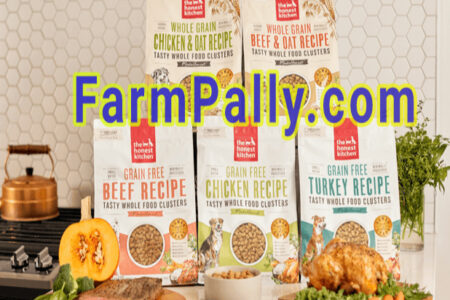 Is Honest Kitchen Dehydrated Food good for Dogs