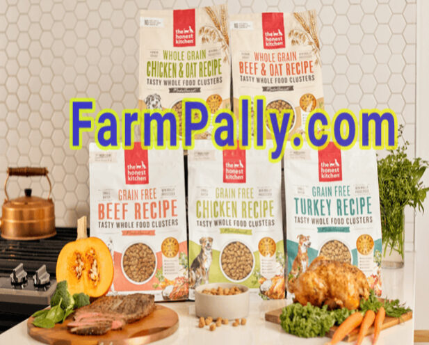 Is Honest Kitchen Dehydrated Food good for Dogs