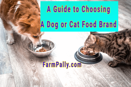 How to choose the right food brand for cat or dog