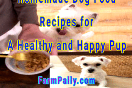 Homemade dog food recipes for a healthy and happy pup