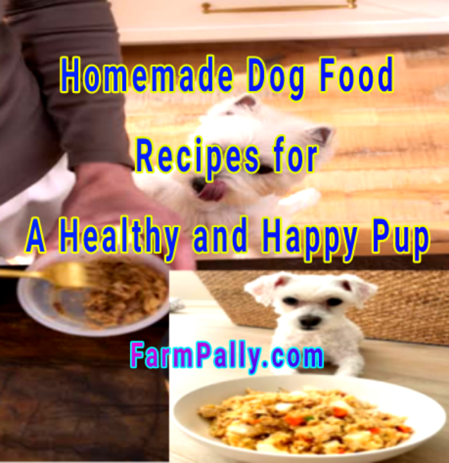 Homemade dog food recipes for a healthy and happy pup 